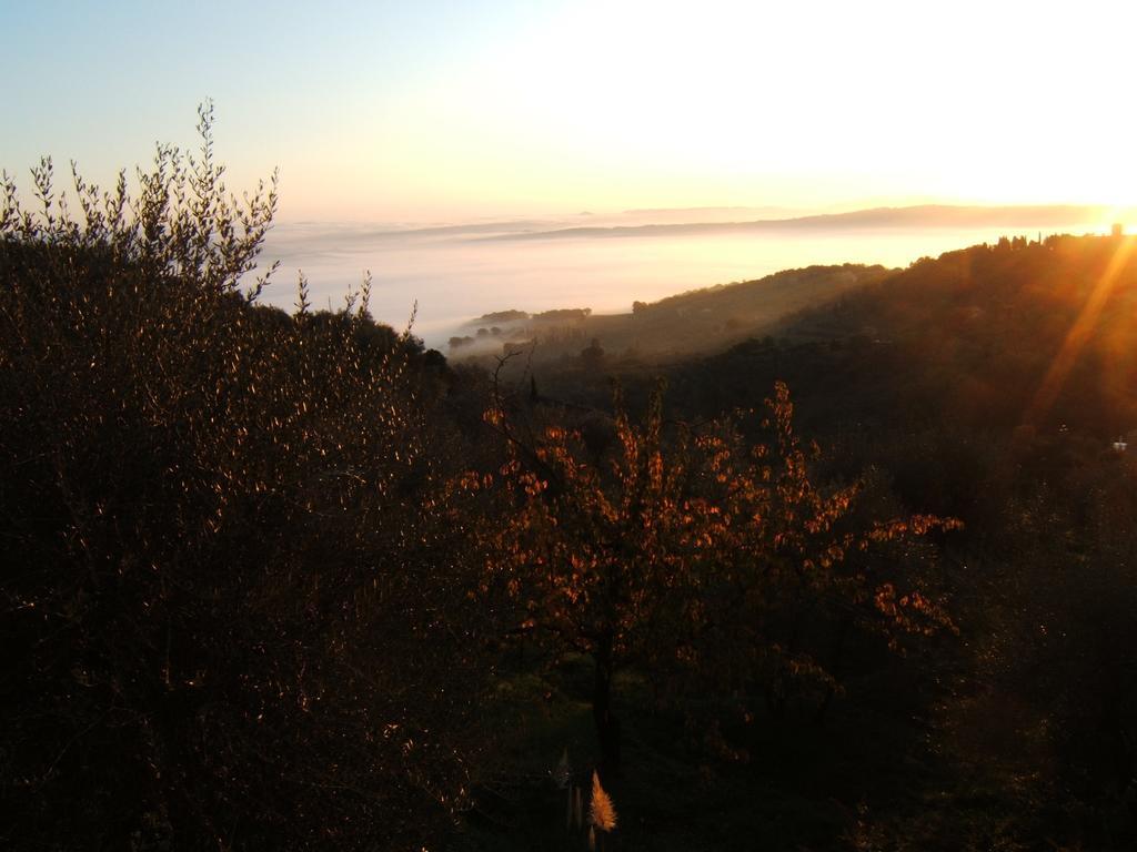 Villa Santa Maria Montalcino Kültér fotó